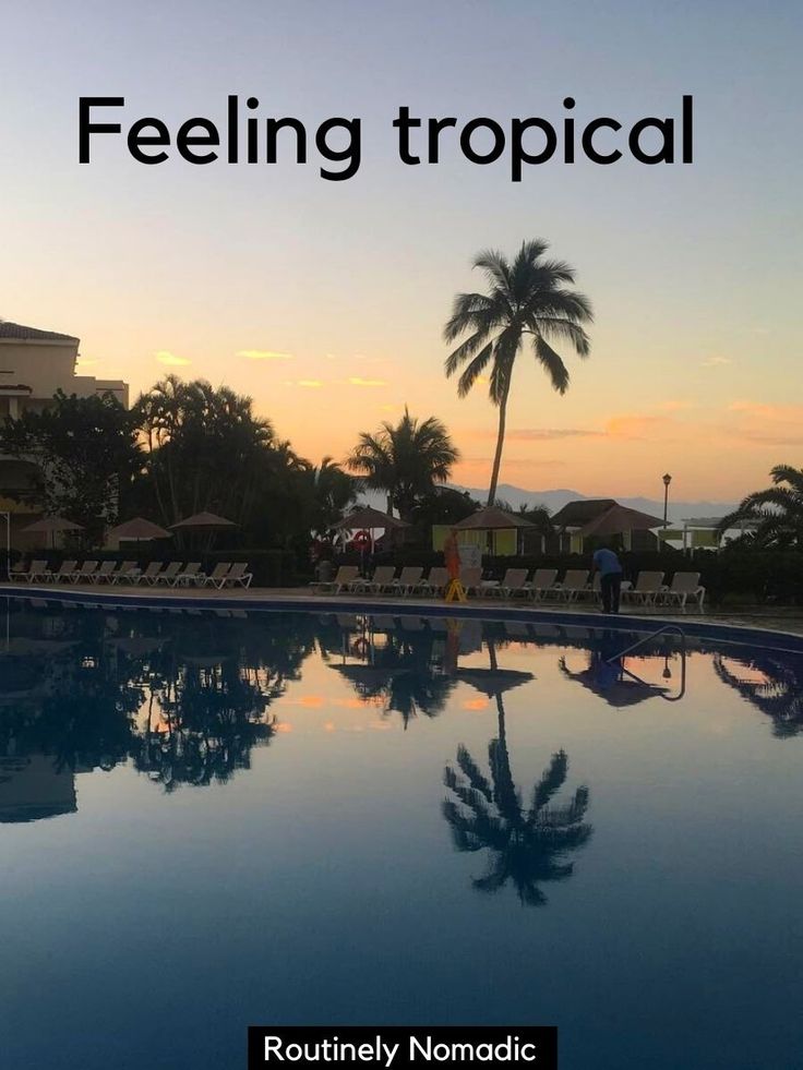 a swimming pool with palm trees in the background and text that reads feeling tropical