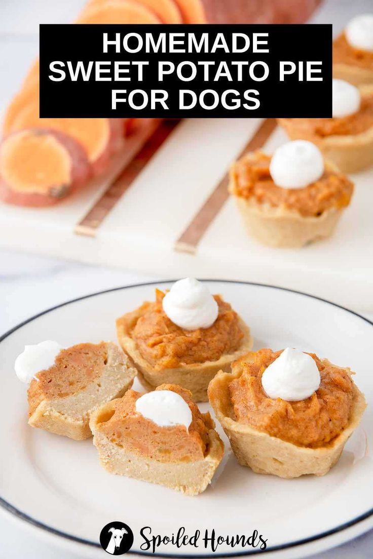 homemade sweet potato pies for dogs on a plate