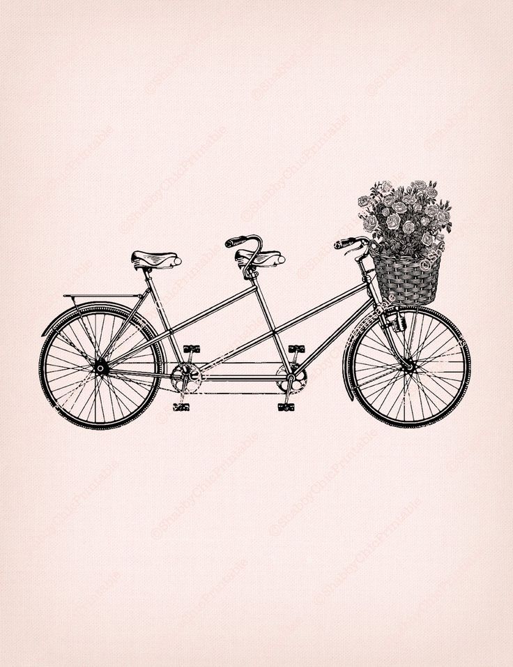 an old and new one of a kind finds sign me up with a bicycle holding flowers