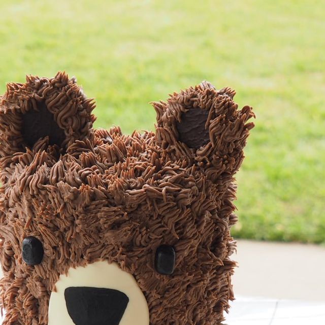 a cake shaped like a teddy bear sitting on top of a white tablecloth with grass in the background