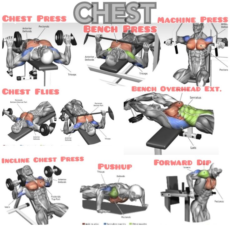 the chest press and bench press are shown in different positions, with instructions to use them