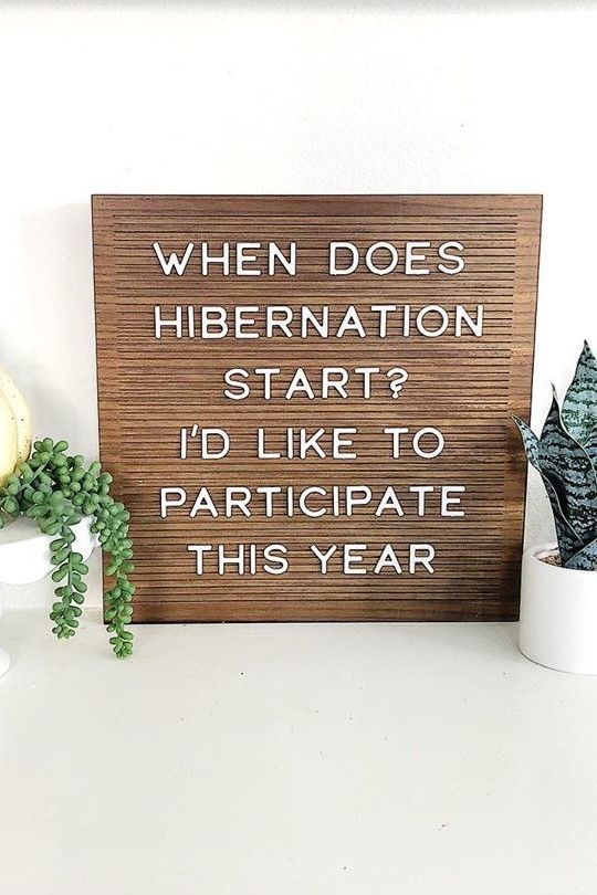 a wooden sign that says when does hibernation start? i'd like to participate this year