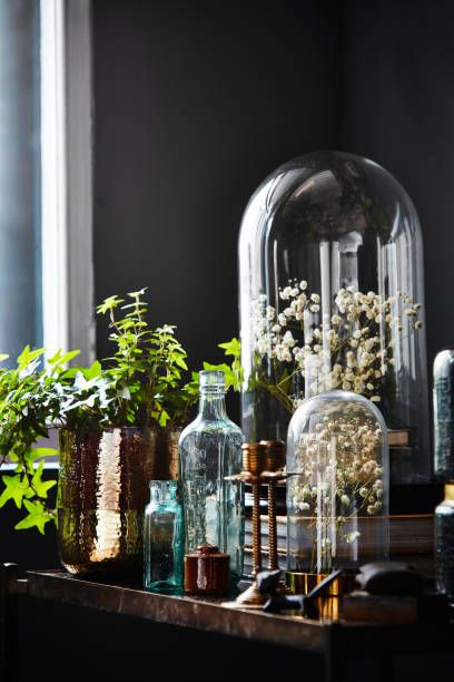 various plants and vases on a table