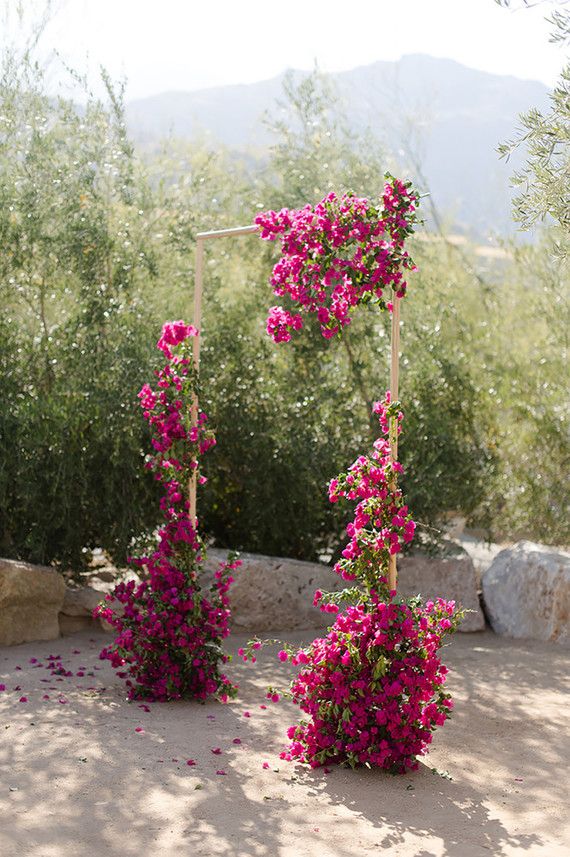 pink flowers are growing on the side of a stone wall