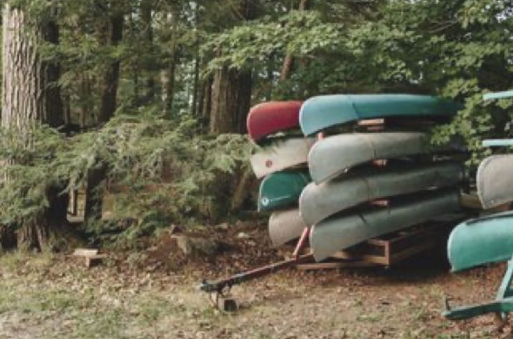 there are many canoes stacked on top of each other in the woods near trees