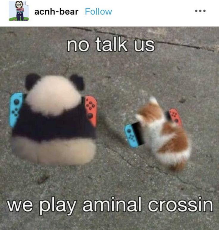 a cat is playing with a stuffed animal that has a video game controller in it's mouth