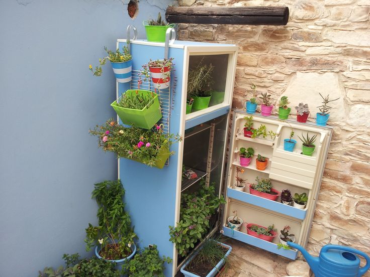 an old refrigerator with plants growing out of it