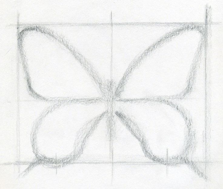 a pencil drawing of a butterfly in the shape of a rectangle with lines on it