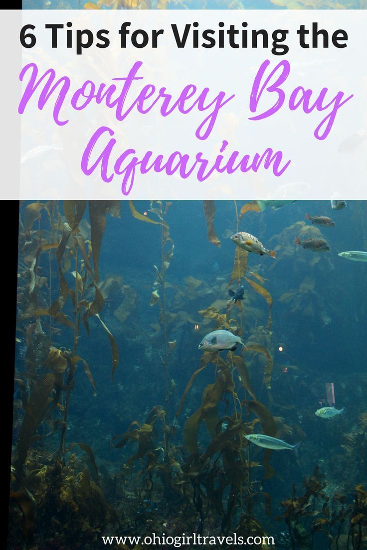 an aquarium filled with lots of fish and text reading 6 tips for visiting the monterey bay aquarium