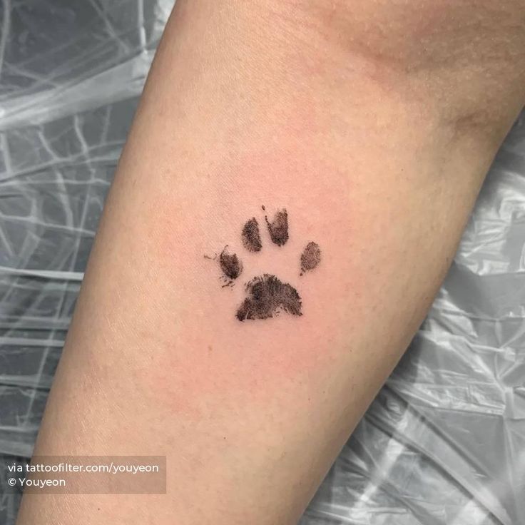 a small paw print on the arm