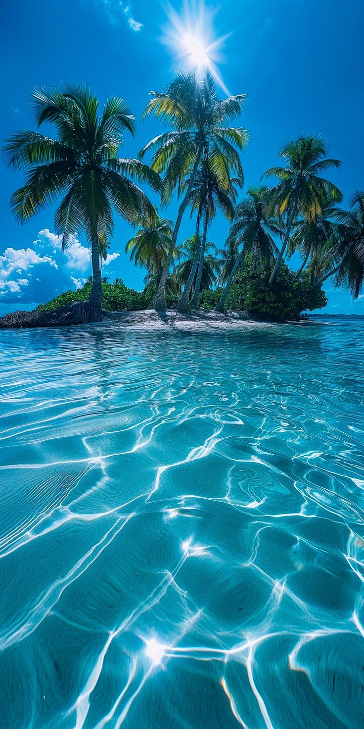 an island with palm trees in the water and sun shining on it's surface