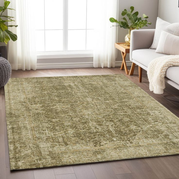 a living room with a large rug on the floor and a window in the background