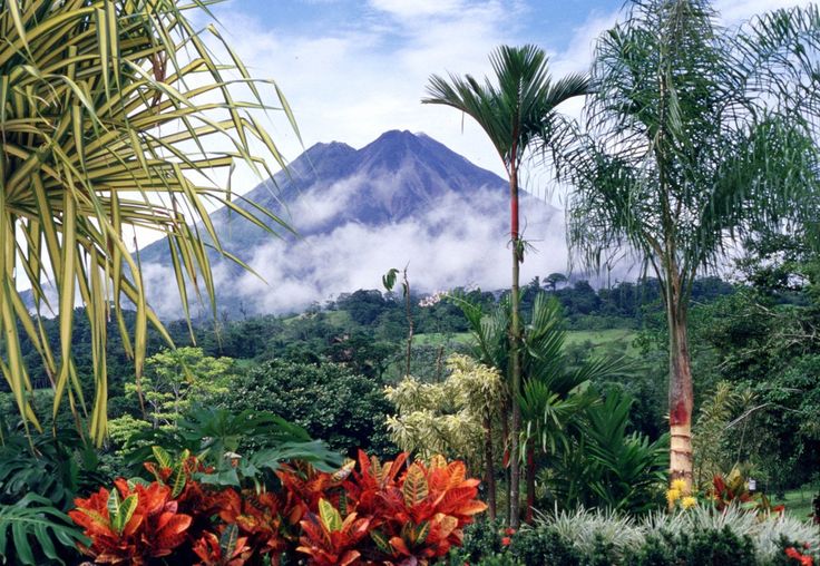 the mountains are covered with clouds and trees in the foreground, surrounded by lush vegetation