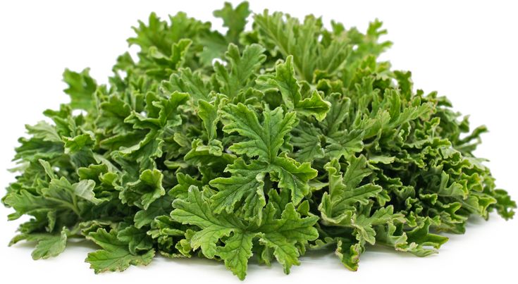 green leafy vegetables are piled on top of each other