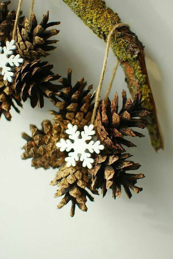 pine cones are hanging from twine with white snowflakes on them in the shape of birds