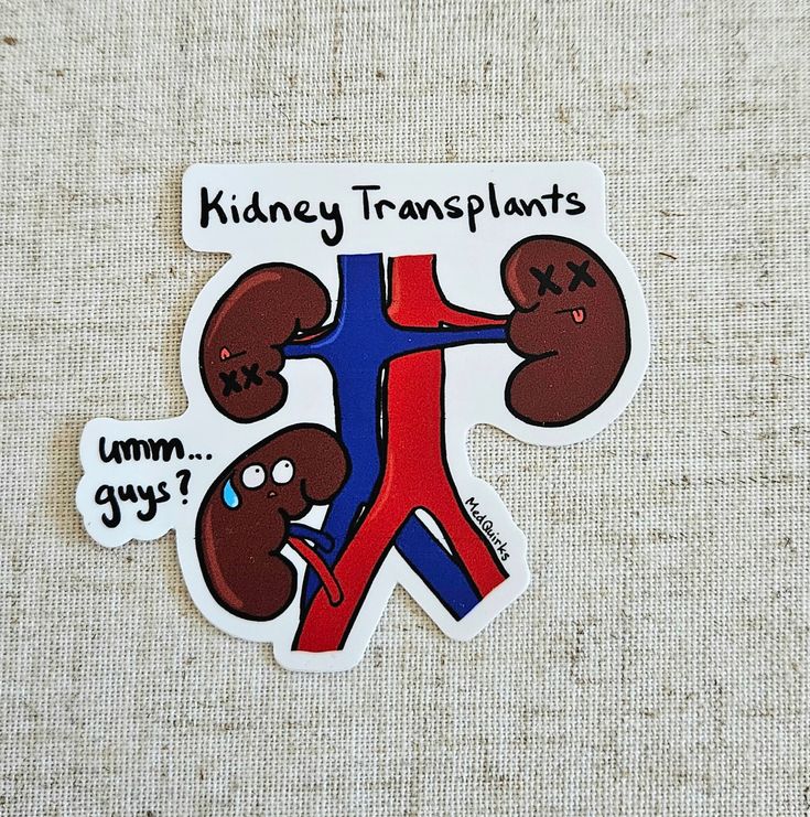 Fun Fact: in kidney transplants, sometimes the patient's original kidneys are not removed even though they are no longer functioning well. Often, the donated kidney is just added in the mix of things! The perfect gift for your favorite physician, surgeon, pharmacist, nurse, therapist, physician assistant, student, nephrologist, bioengineer, brainiac, or healthcare worker! Can be placed onto reusable water bottles, lockers, journals, stethoscopes, laptops or anything that needs a little pizzazz! Kidney Cake, Pkd Awareness, Transplant Party, Kidney Awareness, Kidney Transplantation, Physician Assistant Student, Kidney Donation, Chronic Kidney, Organ Transplant