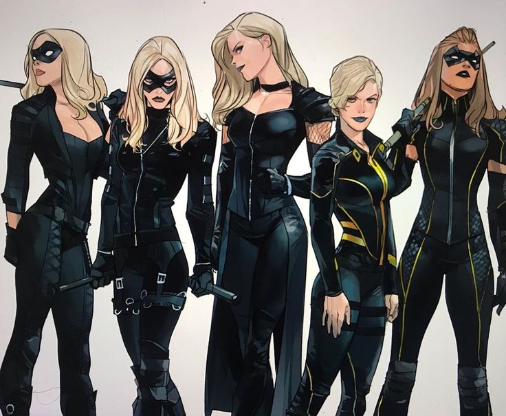 Black Canary Cartoon, Red Canary, Dinah Laurel Lance, Arrow Black Canary, Otto Schmidt, Bruce Timm, Arte Dc Comics, Dc Comics Artwork, Uncanny X-men