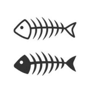 two fish skeletons on a white background, one is black and the other is white