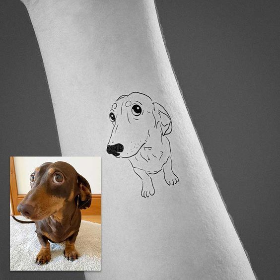 a drawing of a dachshund dog on the left side of a foot