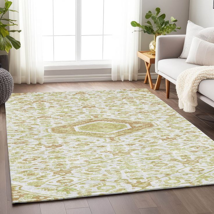 a living room with a large rug on the floor and a window in the background