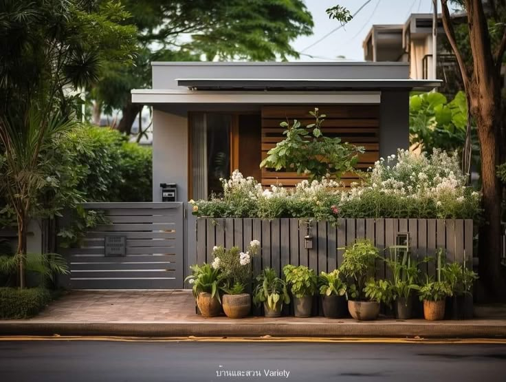 a house with many plants in front of it