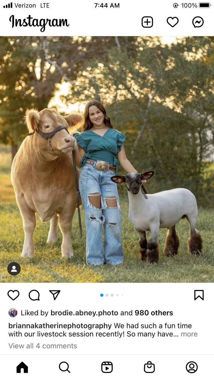 a woman standing next to two brown and white cows on top of a grass covered field