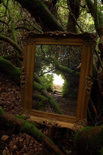 a mirror sitting in the middle of a forest with moss growing on it's sides