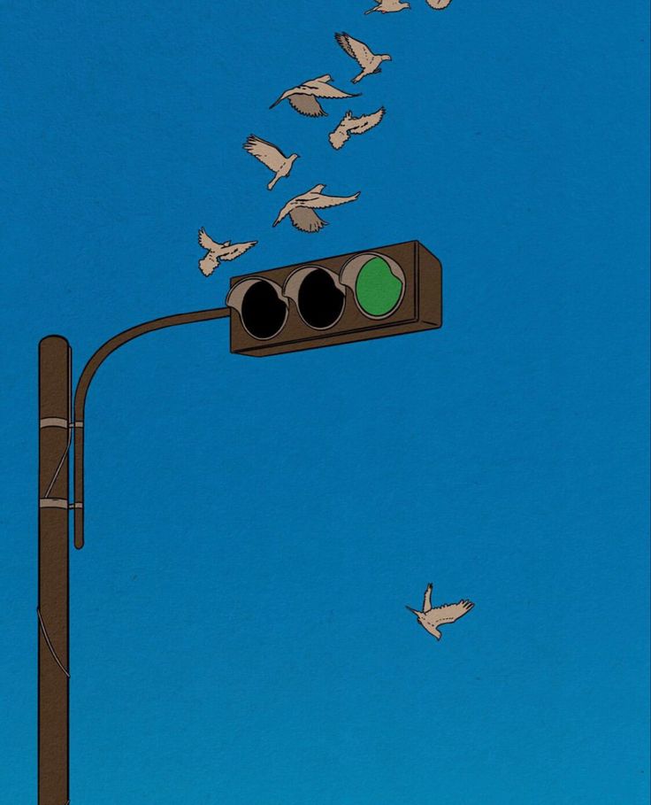 a traffic light with birds flying around it