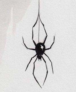 a black and white photo of a spider