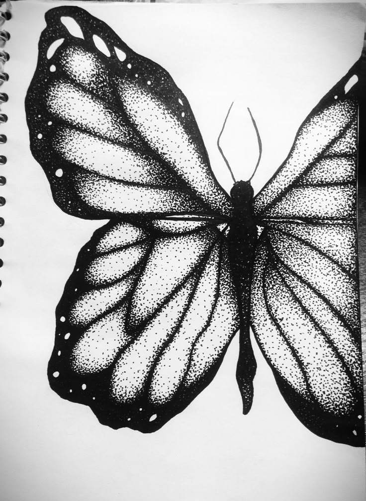 a black and white drawing of a butterfly