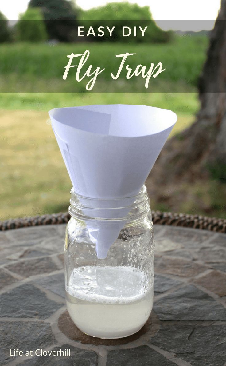 a mason jar filled with white liquid and the words easy diy fly trap on top