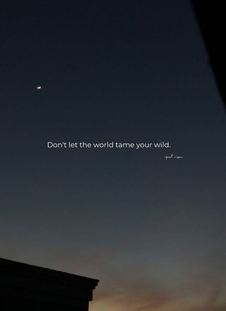 the night sky with a quote written on it that says don't let the world tame your wild