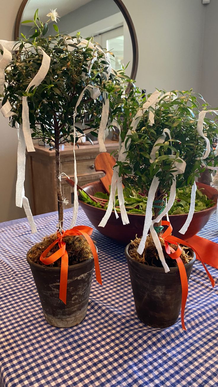 two potted plants on a table with ribbon tied around them and another plant in the background