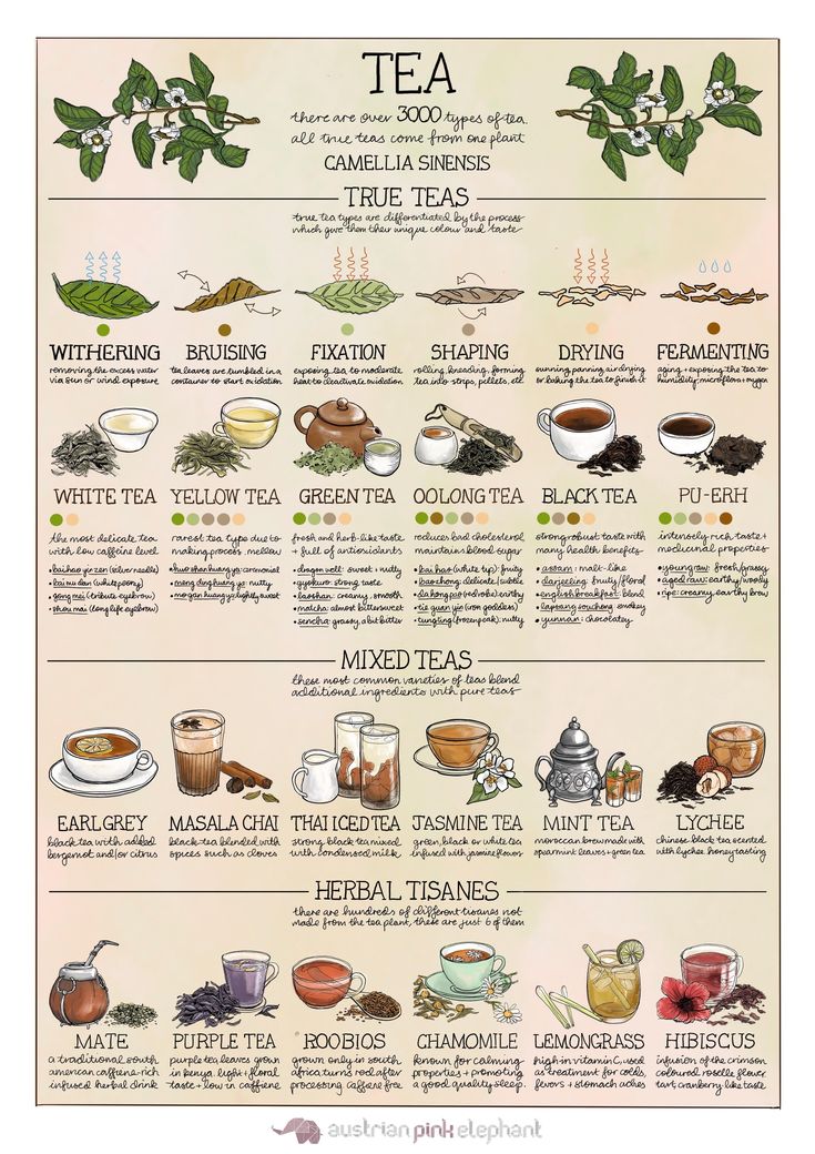 a poster showing the different types of teas and their uses in each type of drink