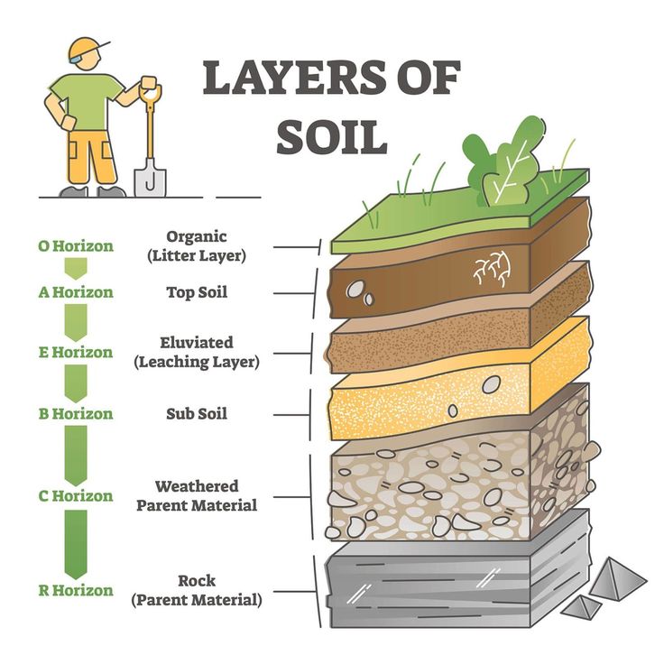 layers of soil labeled in the diagram above it is an image of how they are made