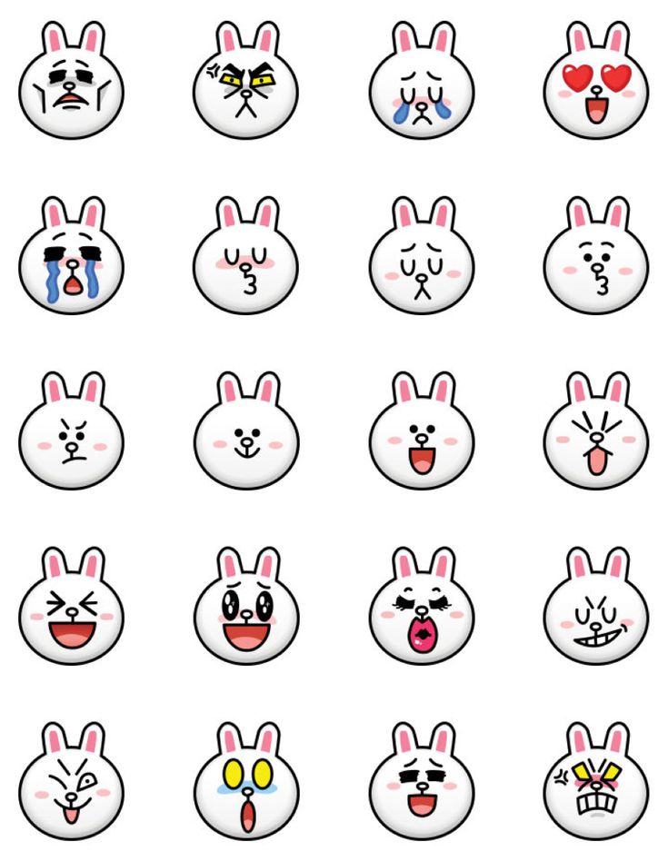 an image of some cute bunny faces