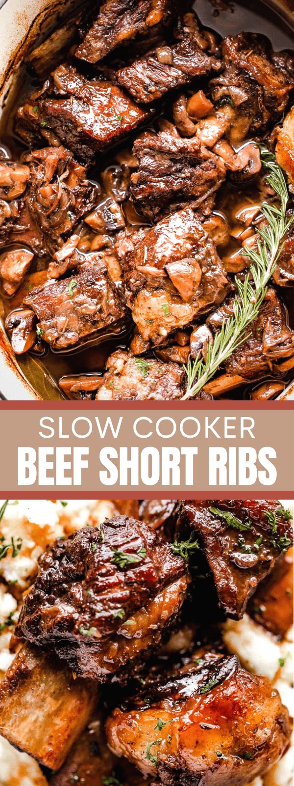 slow cooker beef short ribs with rosemary garnish