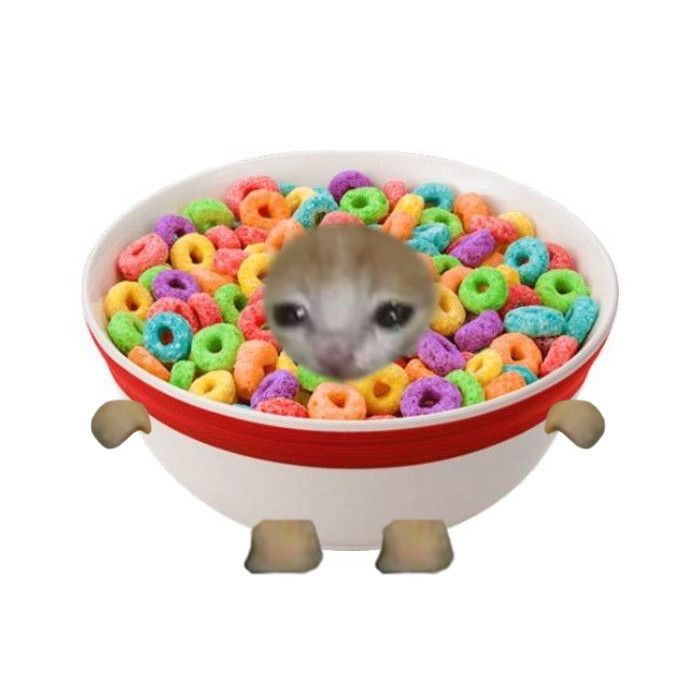 a hamster in a bowl filled with lots of doughnuts