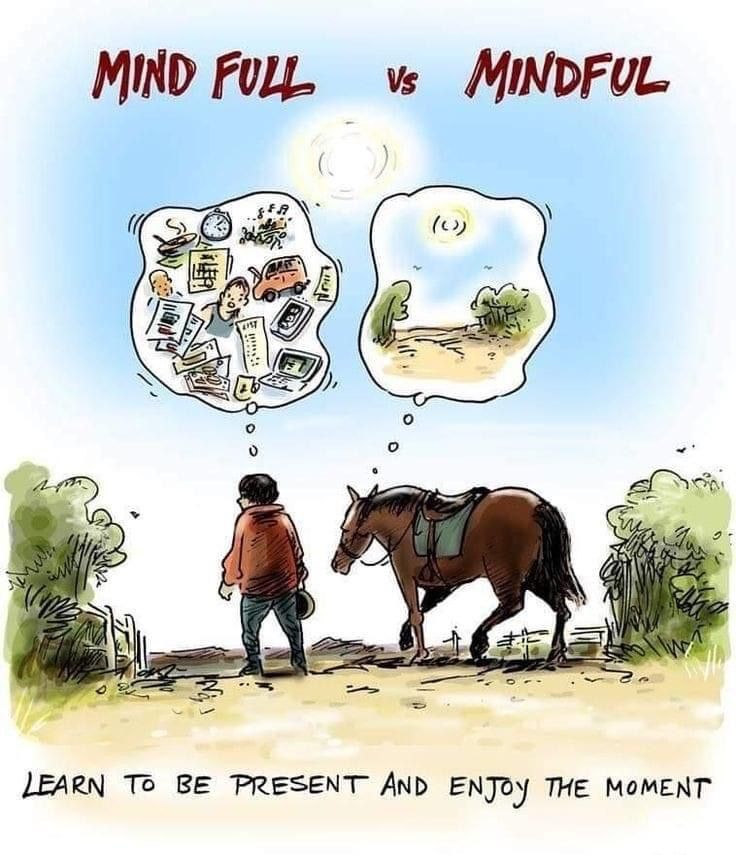 a man standing next to a horse with thought bubbles above it saying mind full vs mindful