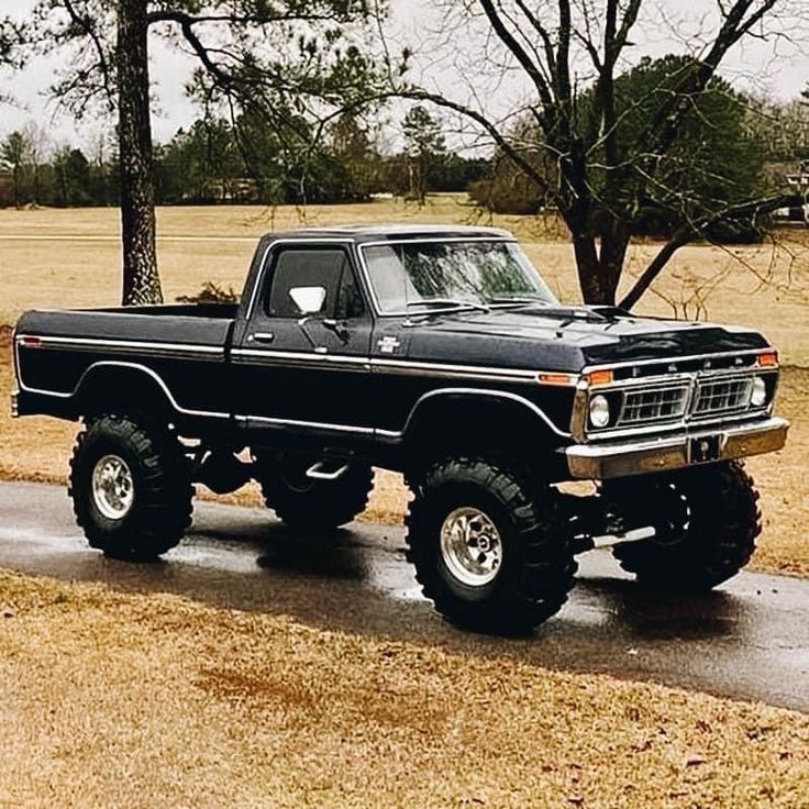 a black pickup truck driving down a road next to a tree and grass covered field