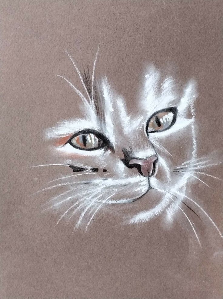 a drawing of a white cat with blue eyes