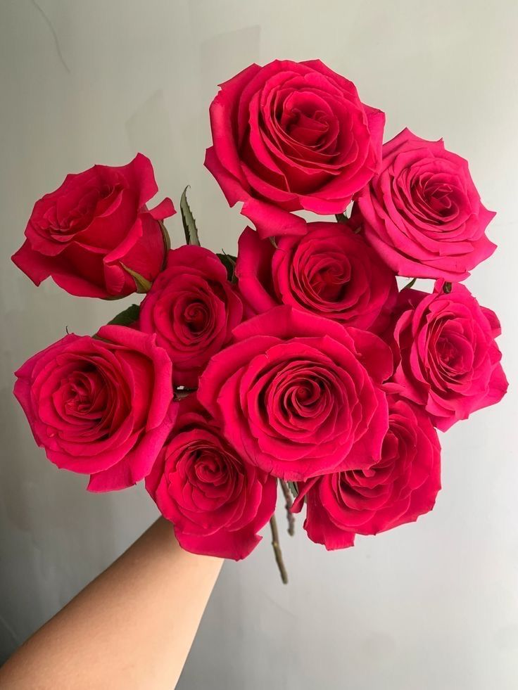 a hand holding a bouquet of red roses