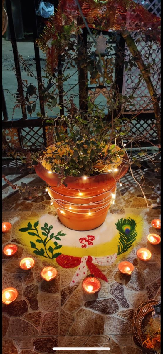 a potted plant sitting on top of a table covered in candles