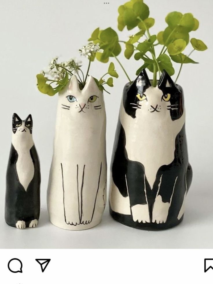 three black and white cats with flowers in them