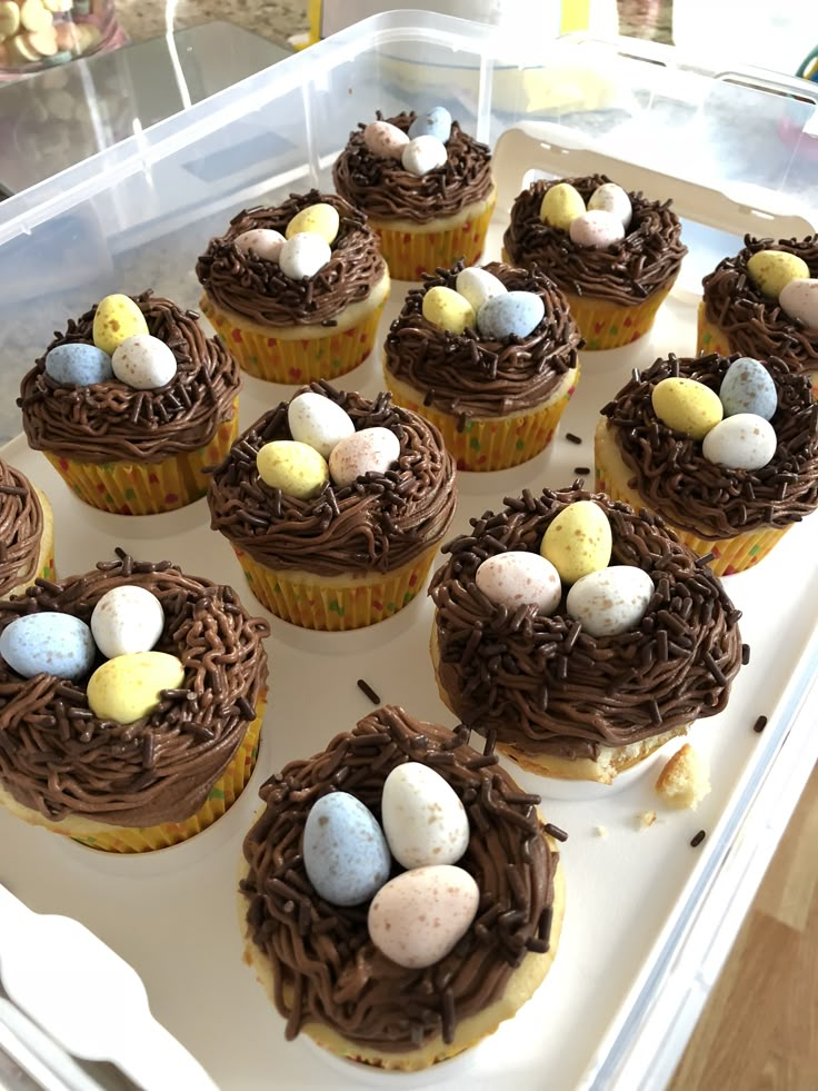 cupcakes with chocolate frosting and mini eggs on top