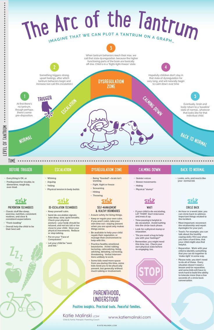 the art of the tantum info sheet for children's learning and entertainment centers