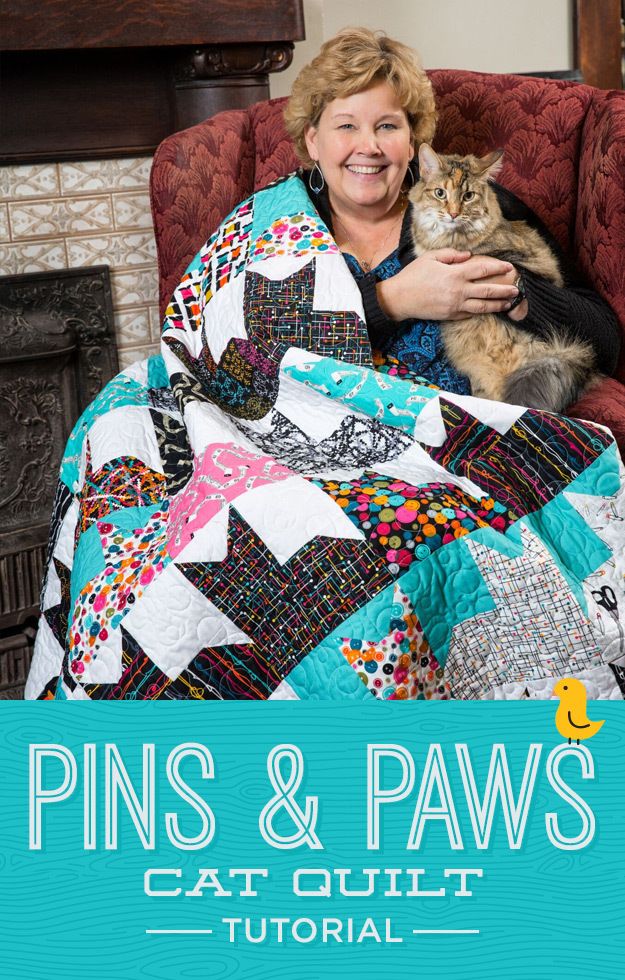 a woman sitting in a chair holding a cat with the words pins and paws on it