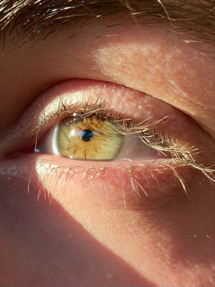 #eyes #greeneyes #hazeleyes #face Hazel Gold Eyes, Hazel Eyes In The Sun, Amber Green Eyes, Pingu Pingu, Hazel Green Eyes, Eyes Aesthetic, Beautiful Eyes Color, Hazel Green, Amber Eyes