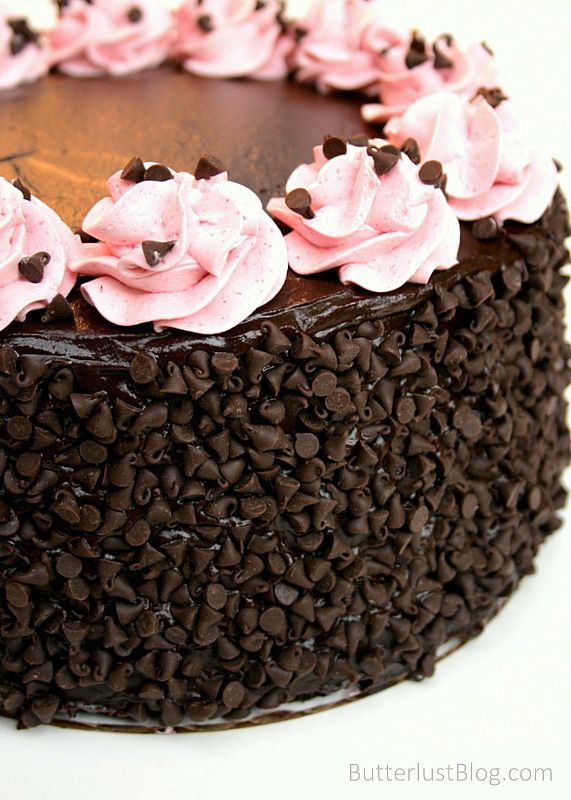 a chocolate cake with pink frosting and chocolate chips