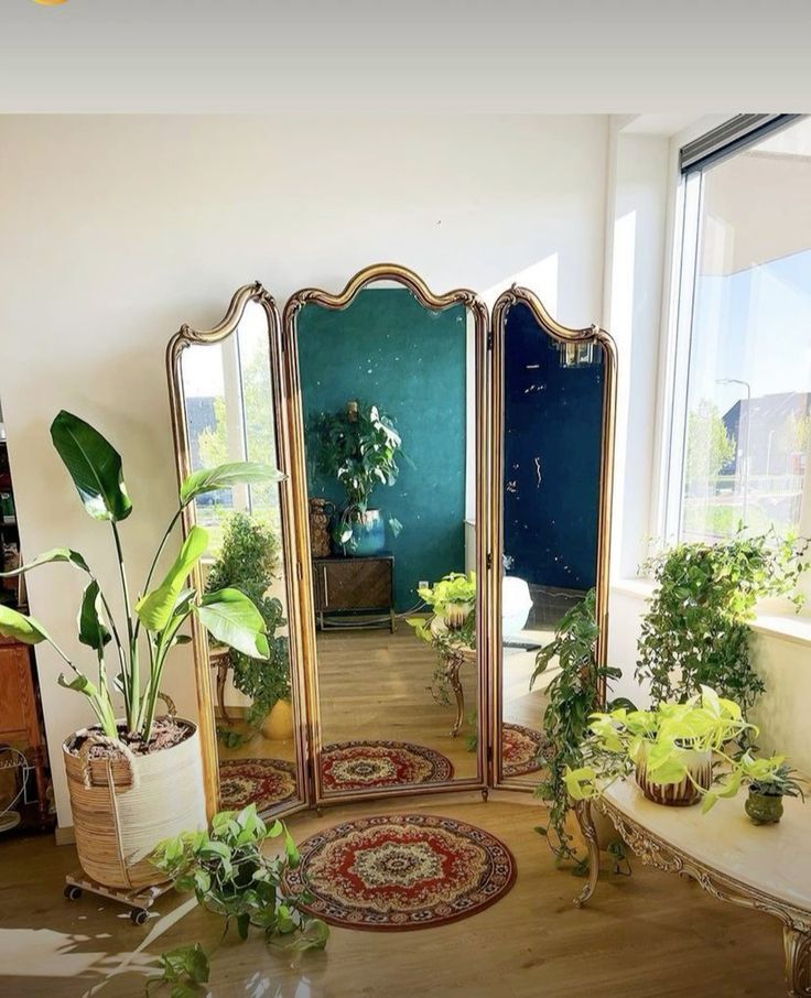 an ornately decorated room with mirrors and potted plants on the floor in front of it